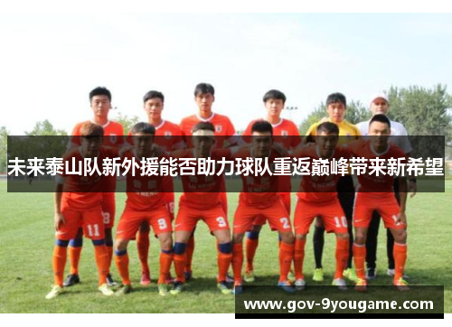 未来泰山队新外援能否助力球队重返巅峰带来新希望
