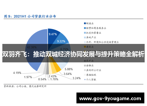 双羽齐飞：推动双城经济协同发展与提升策略全解析