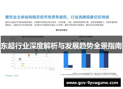 东超行业深度解析与发展趋势全景指南